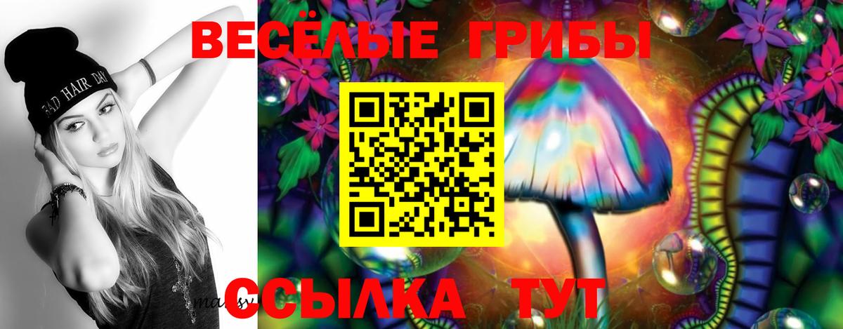 Галлюциногенные грибы Psilocybe Гатчина